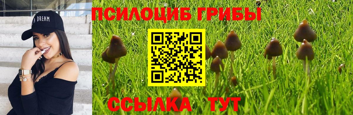 Протвино  Псилоцибиновые грибы MAGIC MUSHROOMS  Вход с VPN 