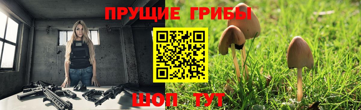 Псилоцибиновые грибы мицелий Протвино